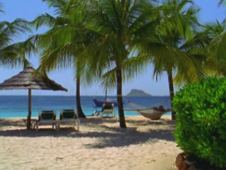 صور Palm Island جزيرة